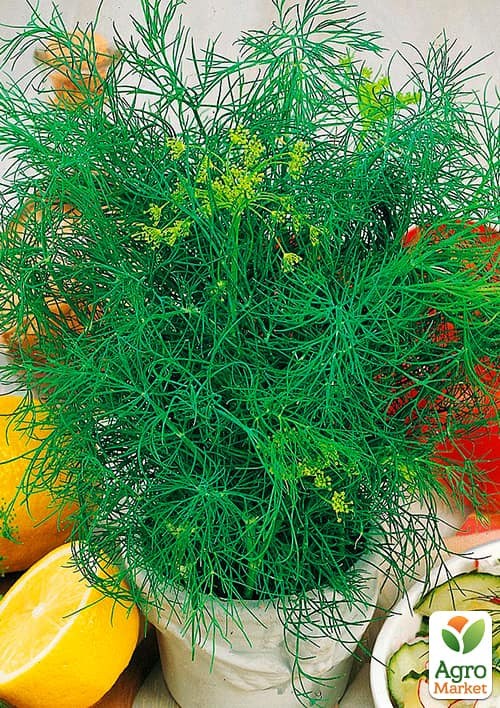 Укроп "Санат" (Зипер) ТМ "Весна" 7г