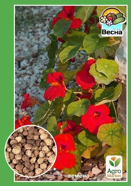Настурція "Вишенька" ТМ "Весна" 0,5г