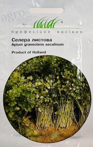 Селера листова ТМ "Hem Zaden" 0.5г
