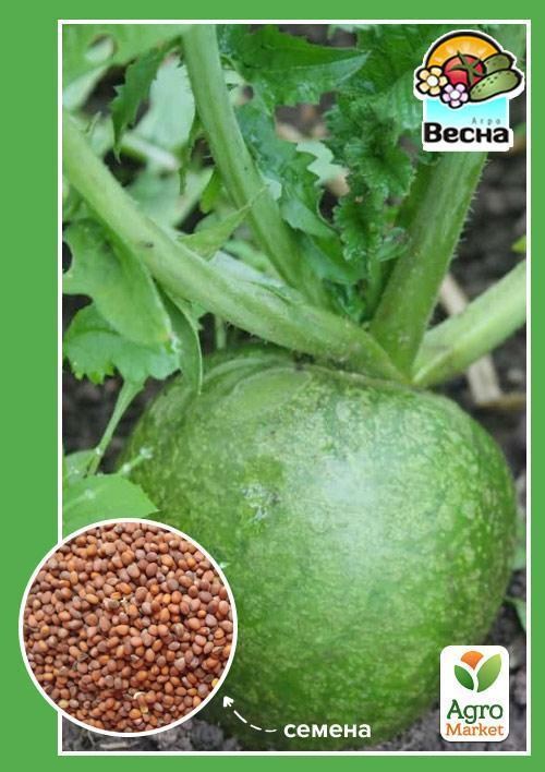 Редька "Маргеланская" ТМ "Весна" 2г