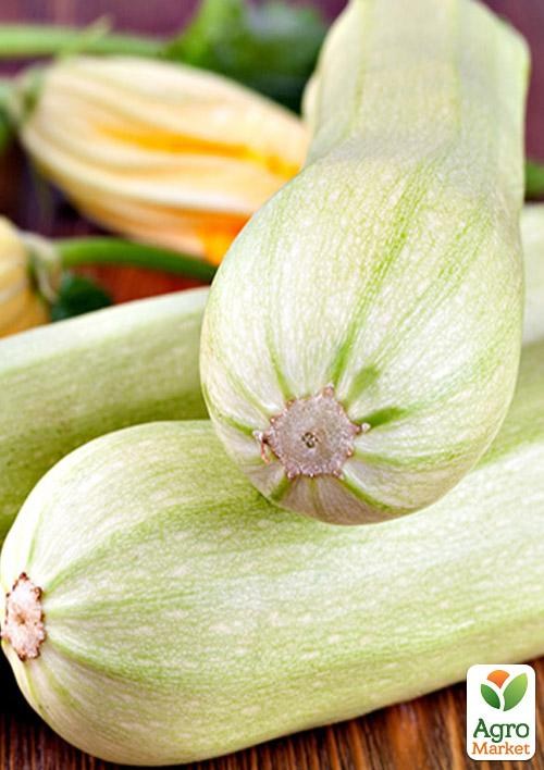 На развес Кабачок "Сотэ-38" ТМ "Весна" цена за 3г