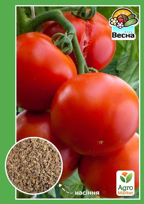 Томат "Санька" ТМ "Весна" 0.2г