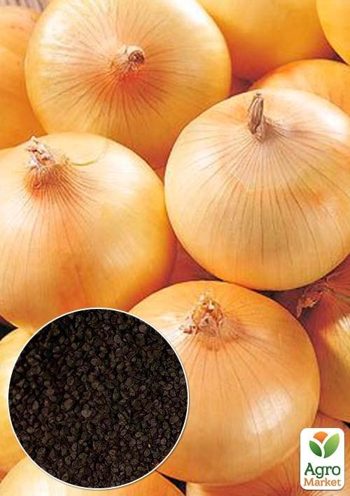 На вагу Цибуля "Буран" ТМ "Весна" ціна за 5г