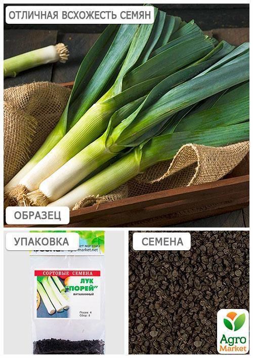 Лук-порей (Зипер) ТМ "Весна" 1г - фото 2