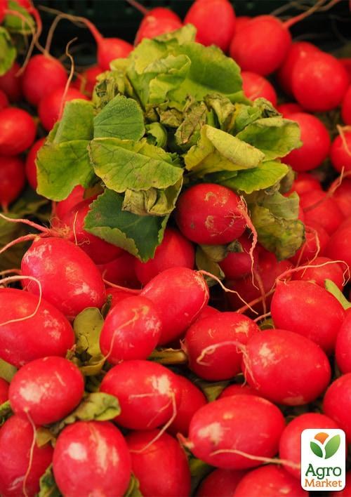 Редис "Хрумка" ТМ "Vesna Select" 2г - фото 2