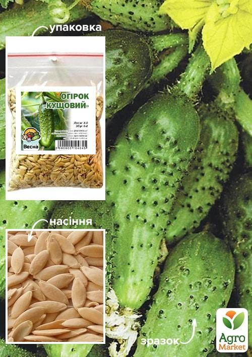 Огірок "Кущовий" ТМ "Весна" 100г