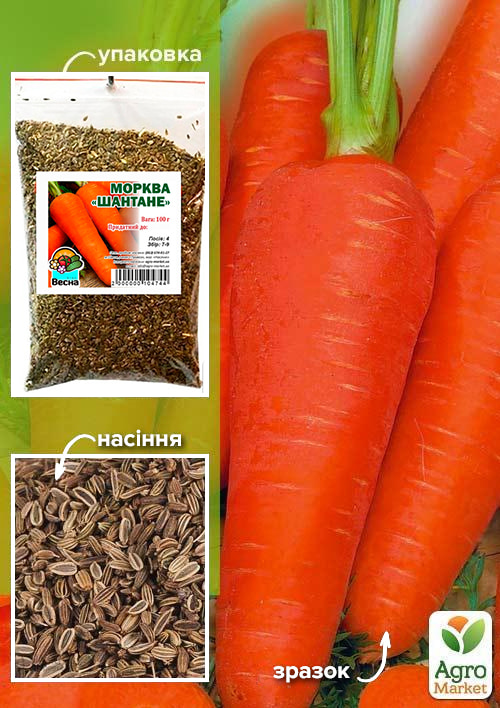 Морковь "Шантане" ТМ "Весна" 100г