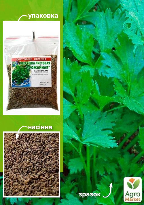Петрушка "Урожайна" ТМ "Весна" 100г