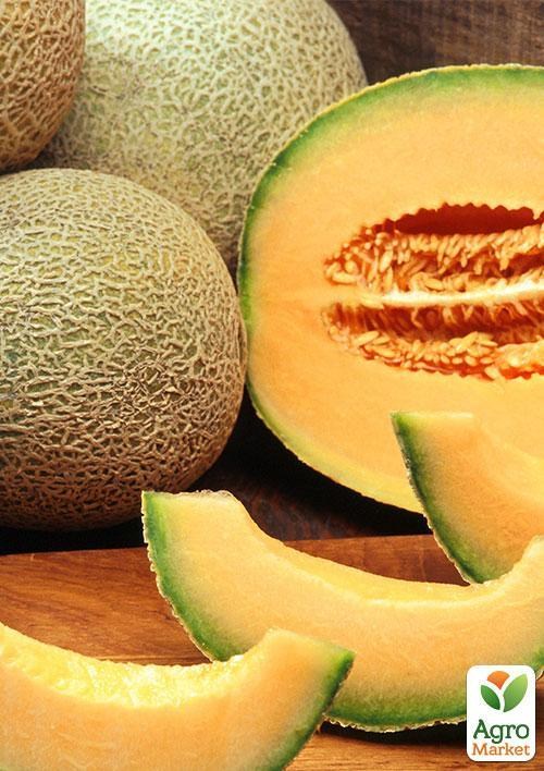 Диня "Ананас" (у банці) ТМ "Весна Органік" 15г