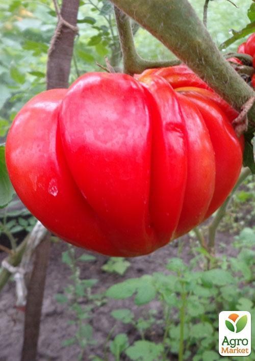 Томат "Етуаль" ТМ "Vesna Select" 15шт - фото 3