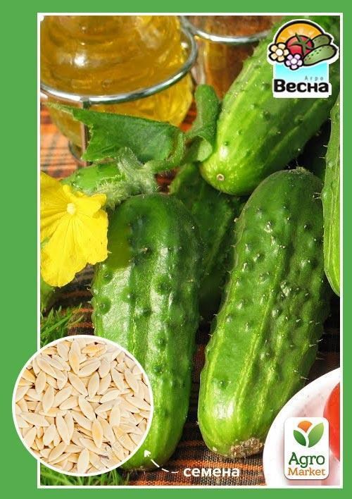 Огурец "Андрус F1" ТМ "Весна" 0.5г