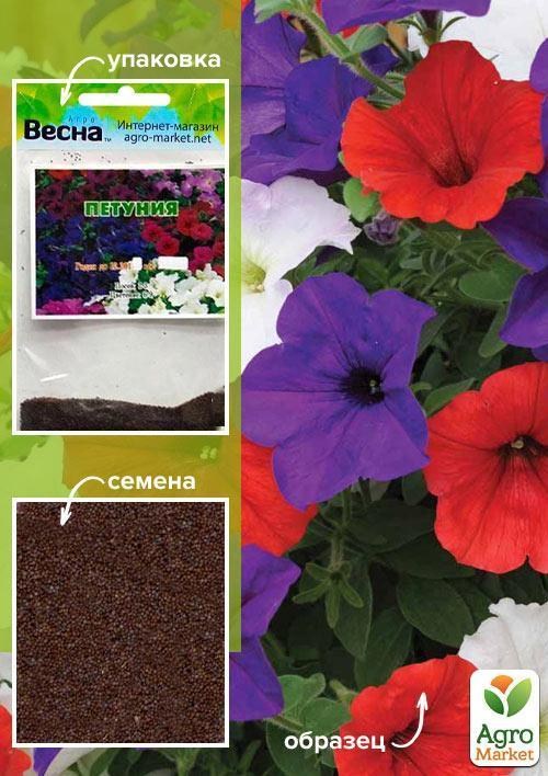 Петуния смесь (Зипер) ТМ "Весна" 1г