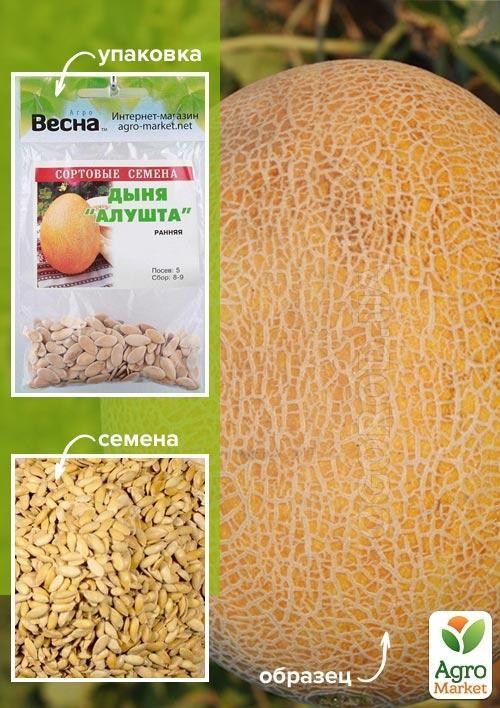 Диня "Алушта" (Зипер) ТМ "Весна" 3г