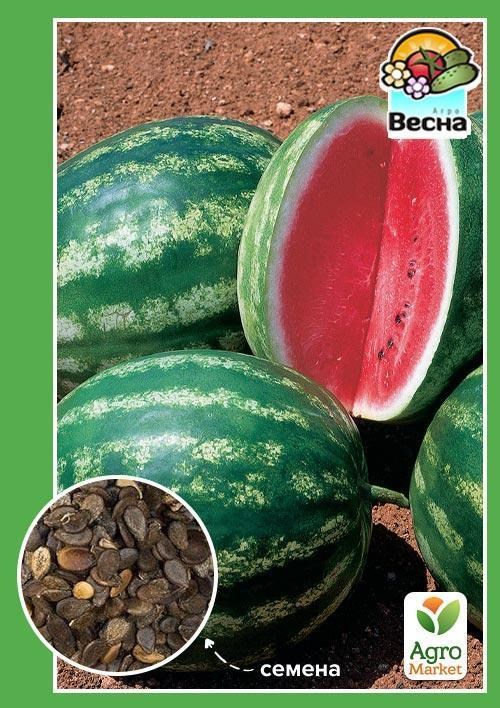 Кавун "Фаворит" ТМ "Весна" 1.5г