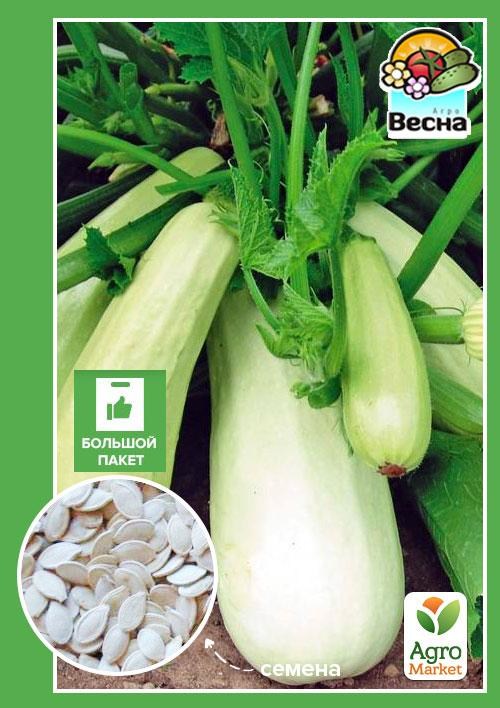 Кабачок "Білий лебідь" (Великий пакет) ТМ "Весна" 5г