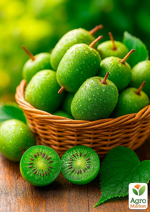 Актинидия "Римма" (мини-киви, морозостойкий сорт, поздний срок созревания)  - фото 7