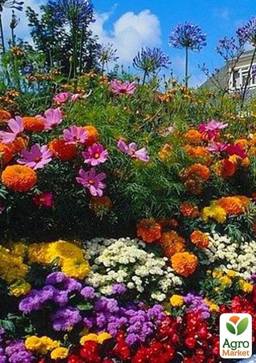 Комплект семян цветов на развес "Цветочный всплеск" 7уп