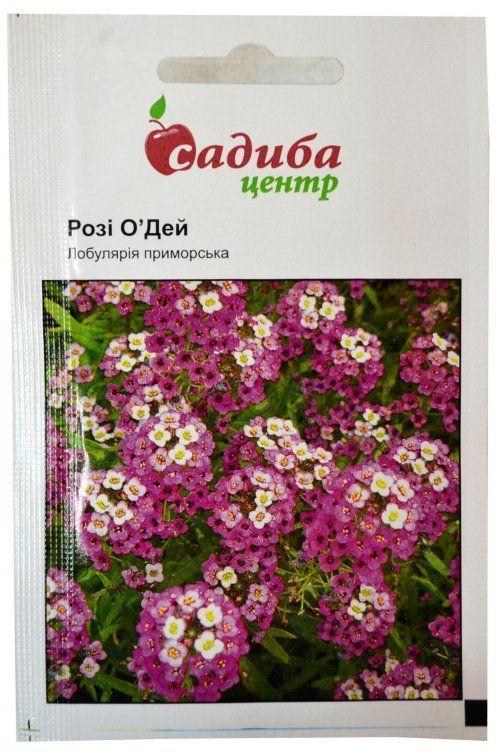 Лобулярія приморська "Рози О'Дей" ТМ "Садиба центр" 0.1г