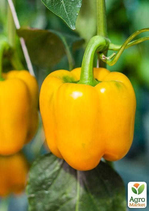 Перець "Бугай" ТМ "Vesna Select" 20шт - фото 2