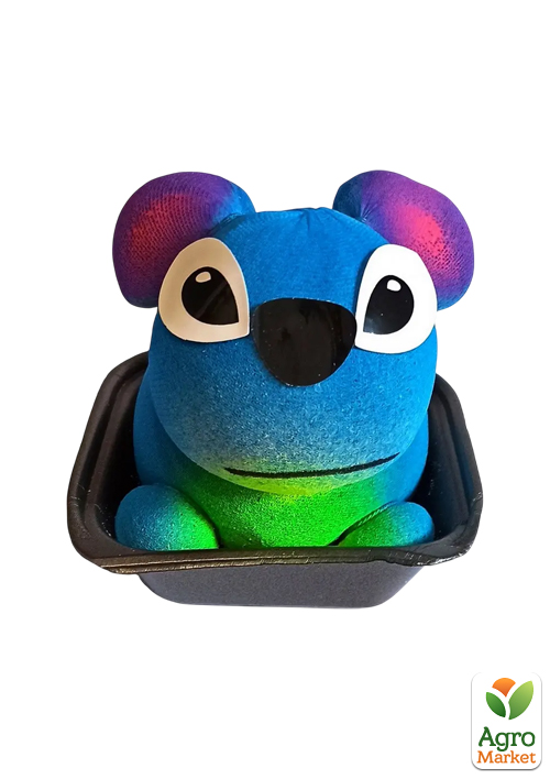 Набір для вирощування Трав'янчик Стіч