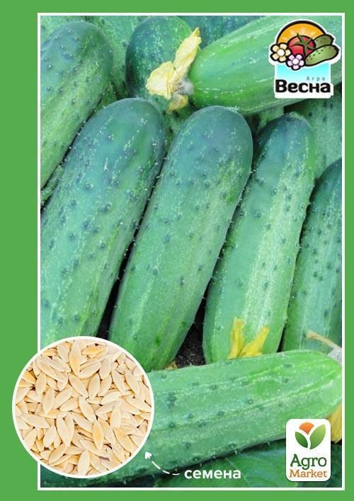 Огурец "Береговой" ТМ "Весна" 0.5г