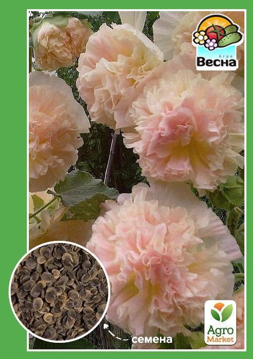 Мальва махрова Абрикосова ТМ "Весна" 0.2г