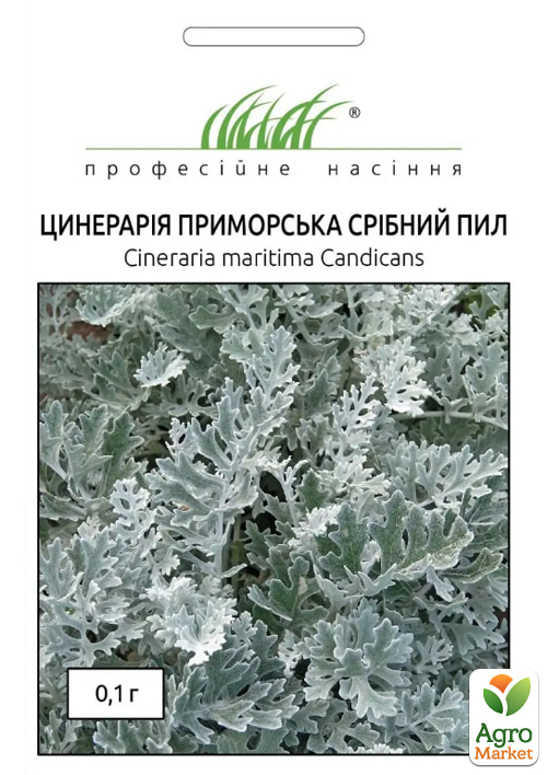 Цинерария приморская "Серебряная пыль" ТМ "Профессиональные семена" 0.1г
