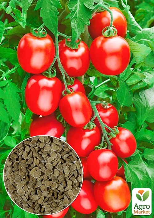 Томат "Новичок" (Большой пакет) ТМ "Весна" 0,5г