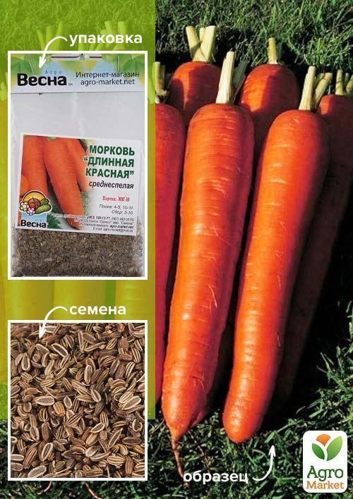 Морковь "Длинная красная" (Зипер) ТМ "Весна" 5г