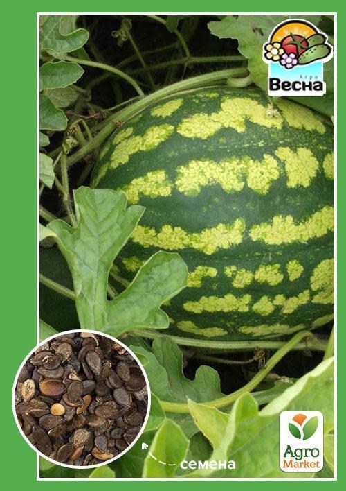 Кавун "Холодок" ТМ "Весна" 1.5г