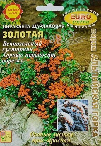 Пираканта шарлахово "Золота" ТМ "Аеліта" 0.05г