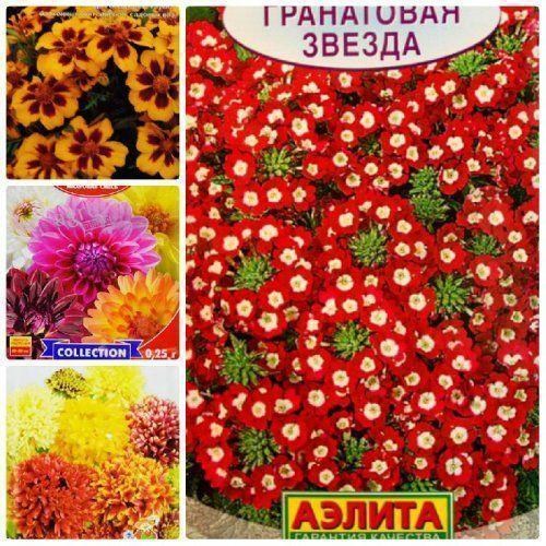 Комплект семян цветов "Восторг" 5уп