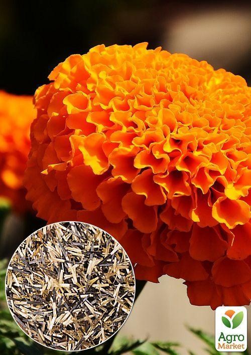На развес Бархатцы "Высокорослые" ТМ "Весна" цена за 2г
