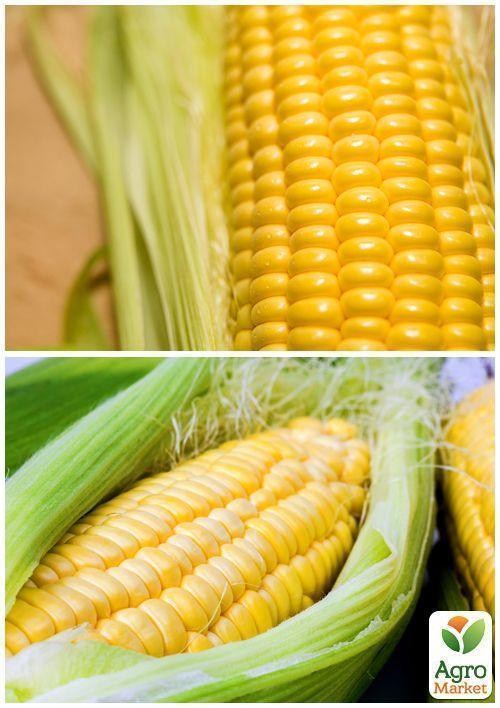 На развес Кукуруза "Тройная сладость" ТМ "Весна" цена за 40г - фото 2