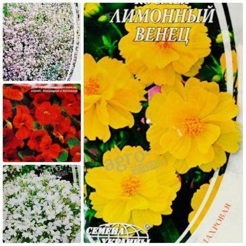 Комплект семян цветов "Сбывшееся мечта" 5уп