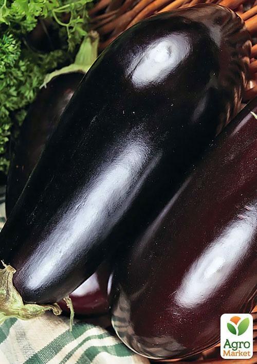 Баклажан "Вера" ТМ "Vesna Select" 20шт - фото 3