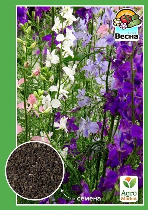 Дельфініум суміш "Низькорослий" ТМ "Весна" 0.2г