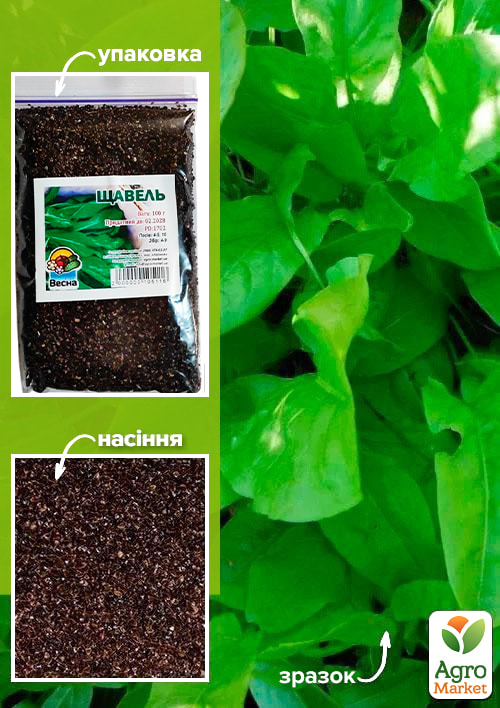 Щавель ТМ "Весна" 100г