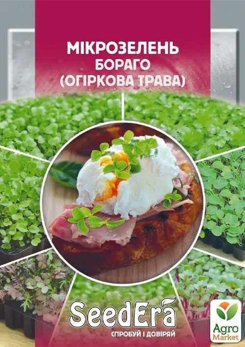 Мікрозелень "Огіркова трава" ТМ "SeedEra" 10г