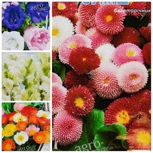 Комплект семян цветов "Цветочный рай" 5уп