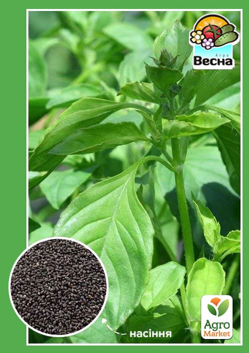 Базилик "Лимонный аромат" ТМ "Весна" 0.3г