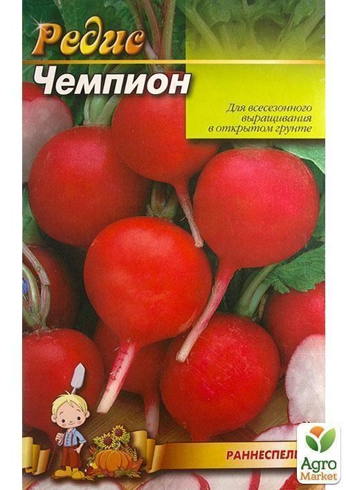 Редис "Чемпион" (Большой пакет) ТМ "Весна" 7г - фото 2