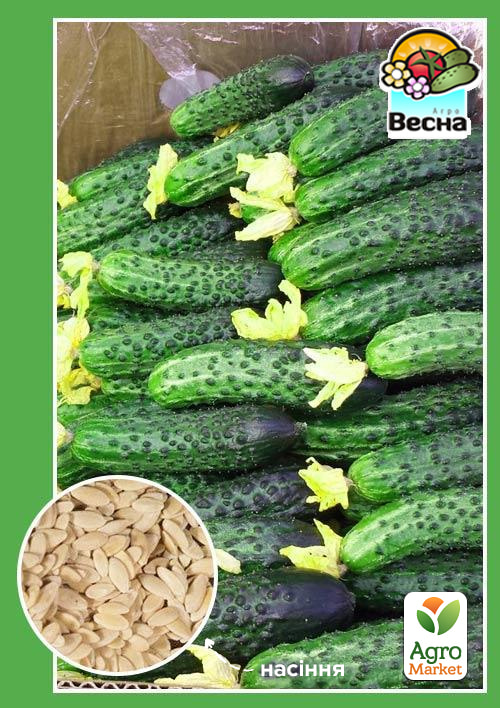 Огірок "Теща F1" ТМ "Весна" 0.2г