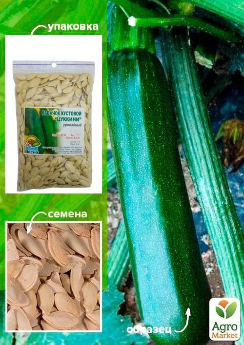 Кабачок "Цукіні" ТМ "Весна" 100г