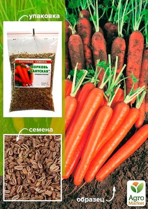 Морковь "Нантская" ТМ "Весна" 100г