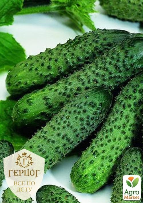 Огірок "Герцог" "Засухостійкий" ТМ "Весна" 2г