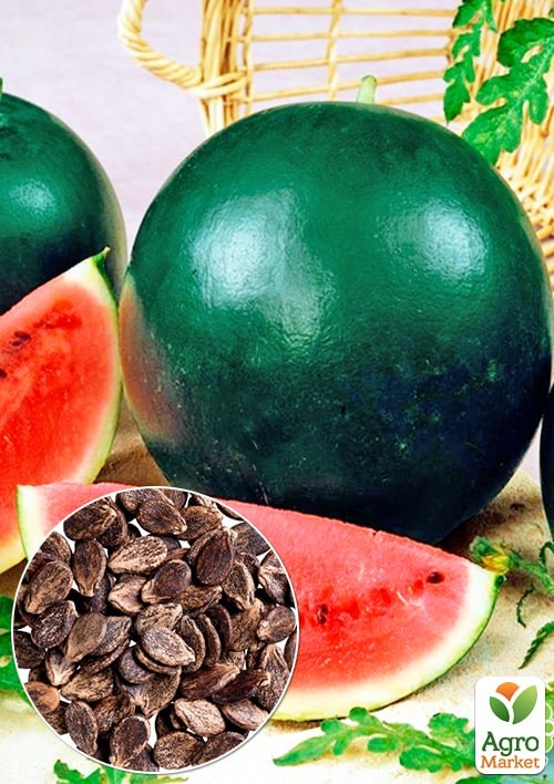 Арбуз "Фотон" (Большой пакет) ТМ "Весна" 3г