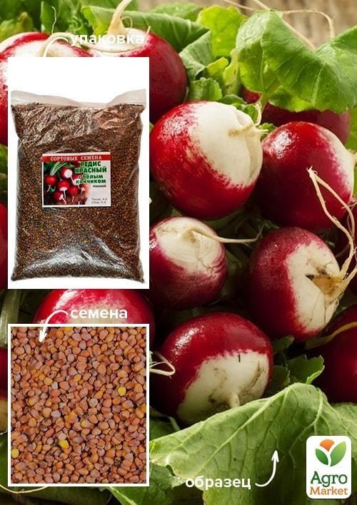 Редис "КБК" ТМ "Весна" 500г