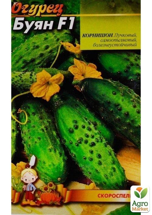 Огурец "Буян F1" ТМ "Весна"  0.25г - фото 2