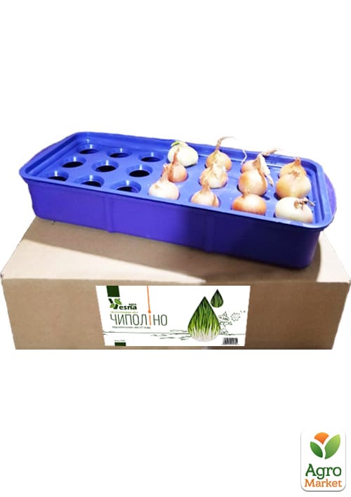 Набор для проращивания лука "Чиполлино" - фото 4